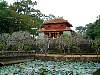 7-29 043 Royal Tomb of Minh Mang, Perfume River, Hue.jpg